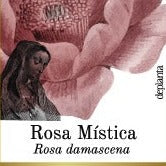 Rosa mística