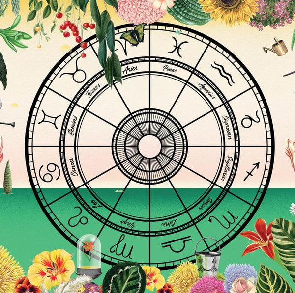 Plantas segun nuestro signo lunar