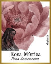 Rosa mística